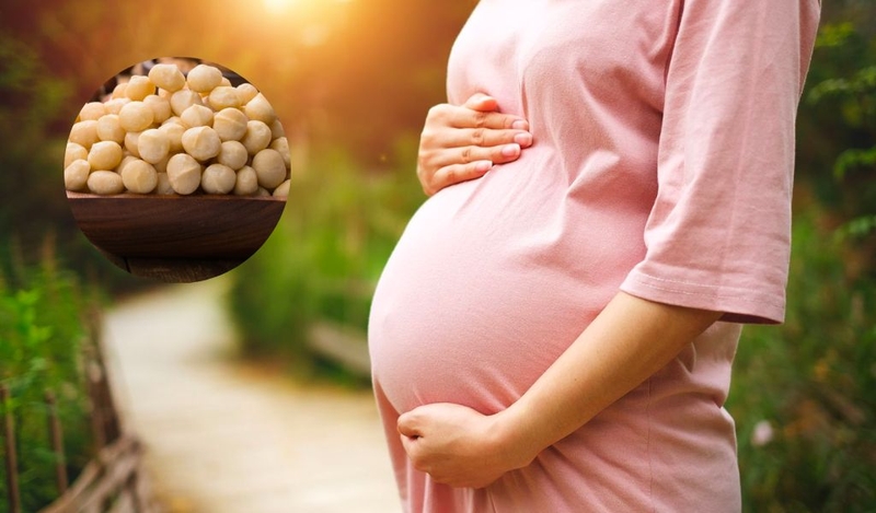 Hạt Macca cho Bà Bầu: Lịch trình ăn và Liều lượng giúp thai nhi phát triển tốt nhất