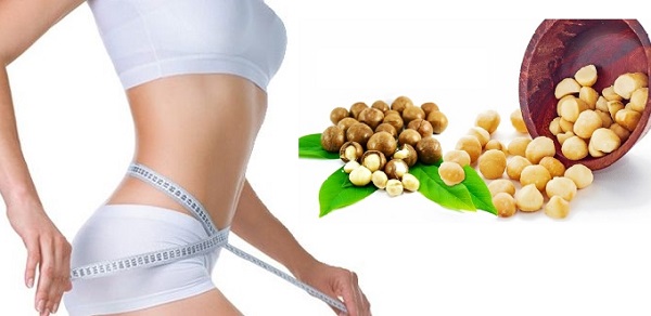 Ăn hạt Macca có béo không? Sự thật về chất béo trong hạt Macca (Góc nhìn Khoa học)